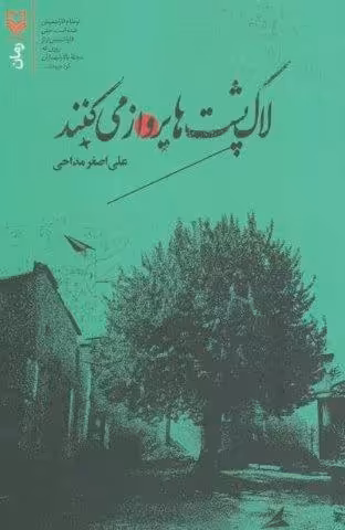 لاک پشت ها پرواز می کنند
