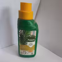 کود نخل پوکون هلند 