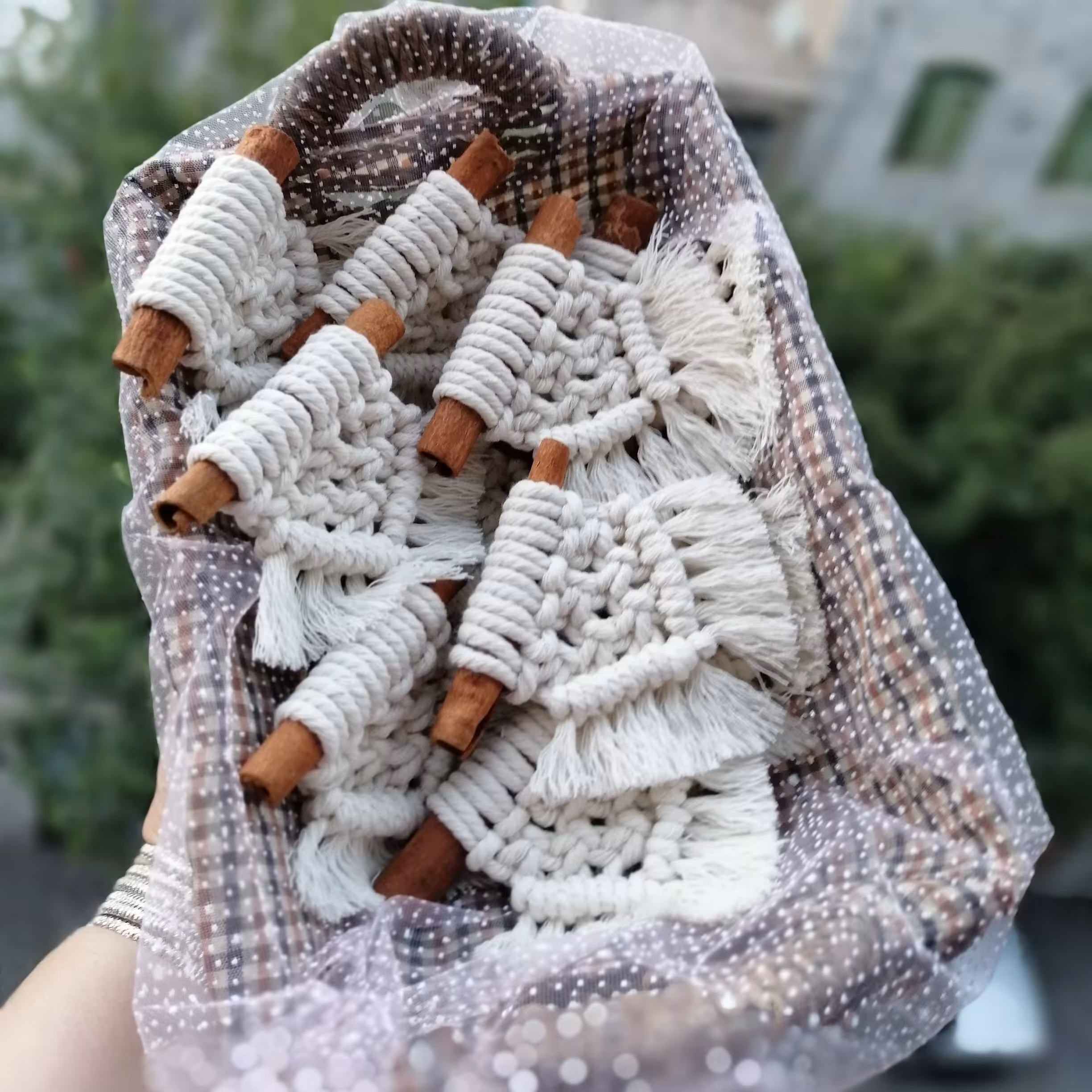 گیفت دارچین