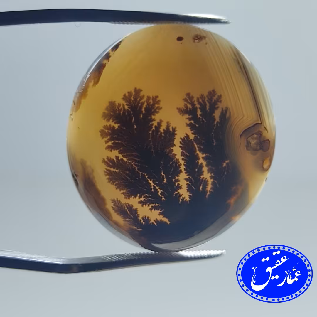 نگین عقیق شجر منظره با زمینه سفید و درختان تنومند از دیار قائن