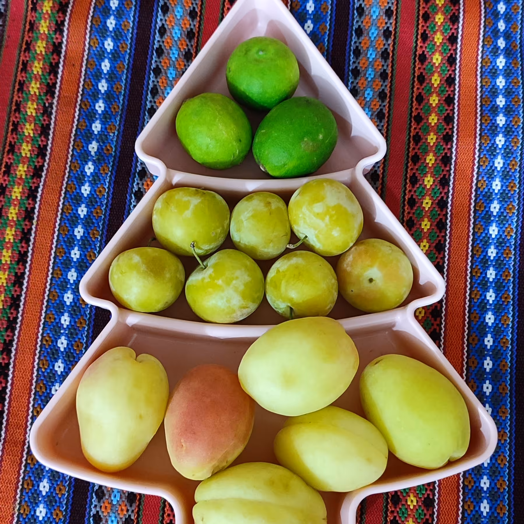 اردو کاج پلاستیکی محکم وبادوام مناسب انواع اجیل وخوراکی