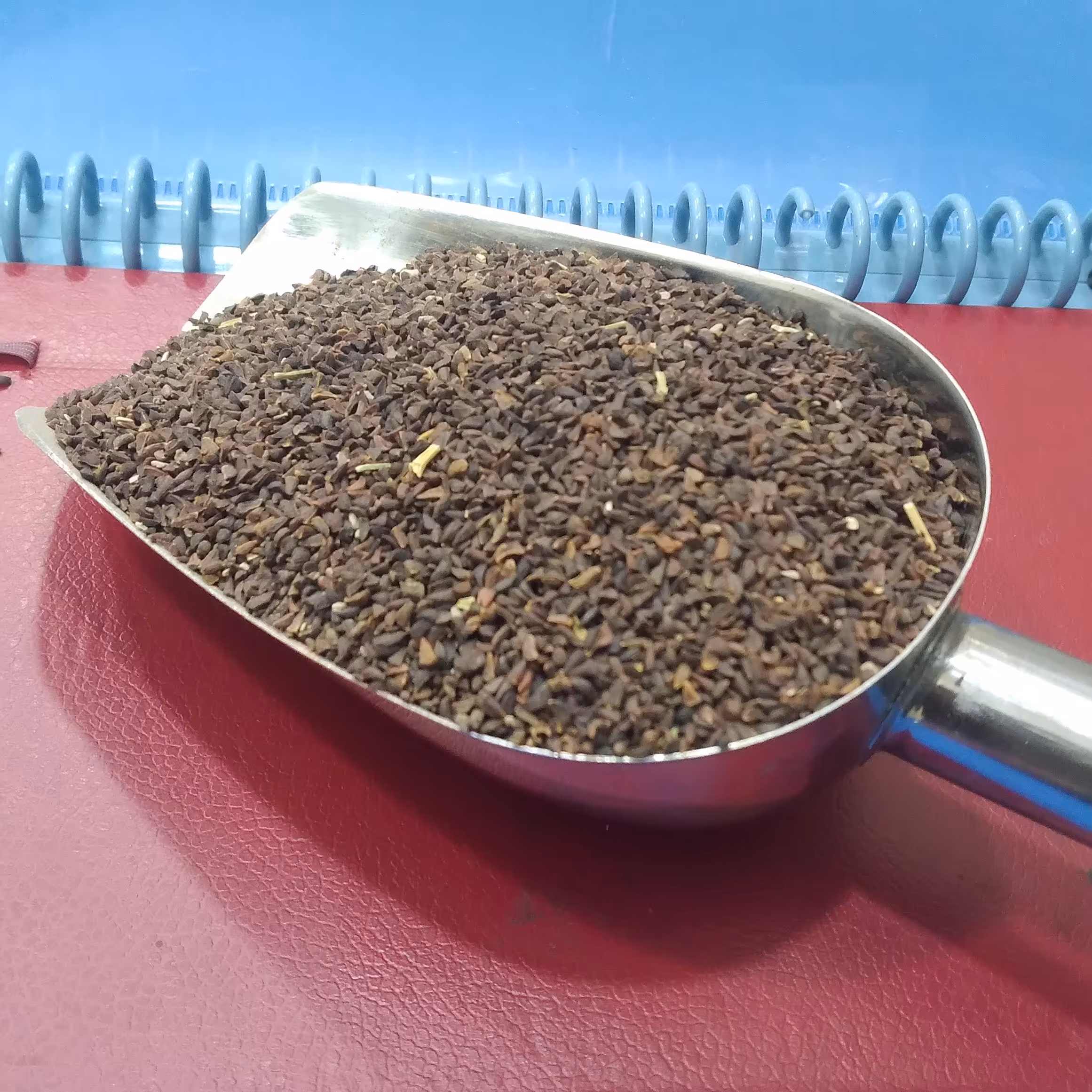 اسپند ساده(اسفند ساده)