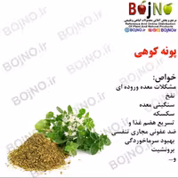 پونه 100 گرمی