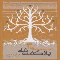 بازگشت شاه (ارباب حلقه ها 3)