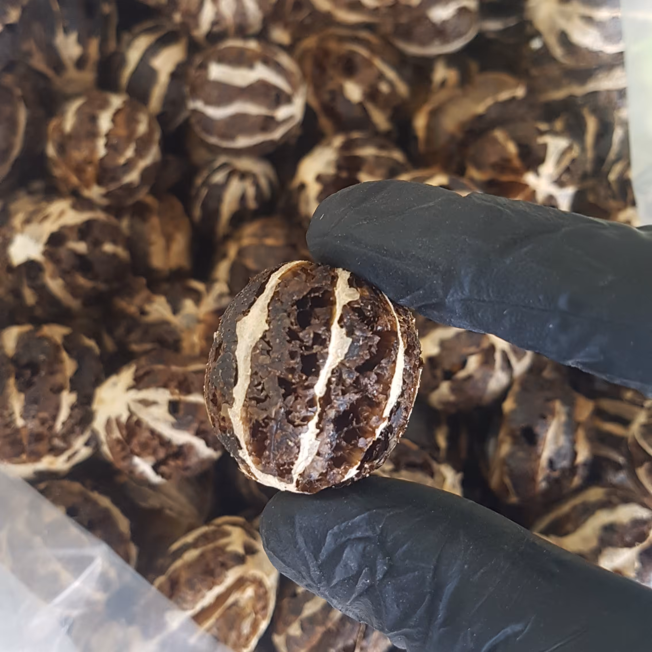 لیمو توپی (بدون پوست)