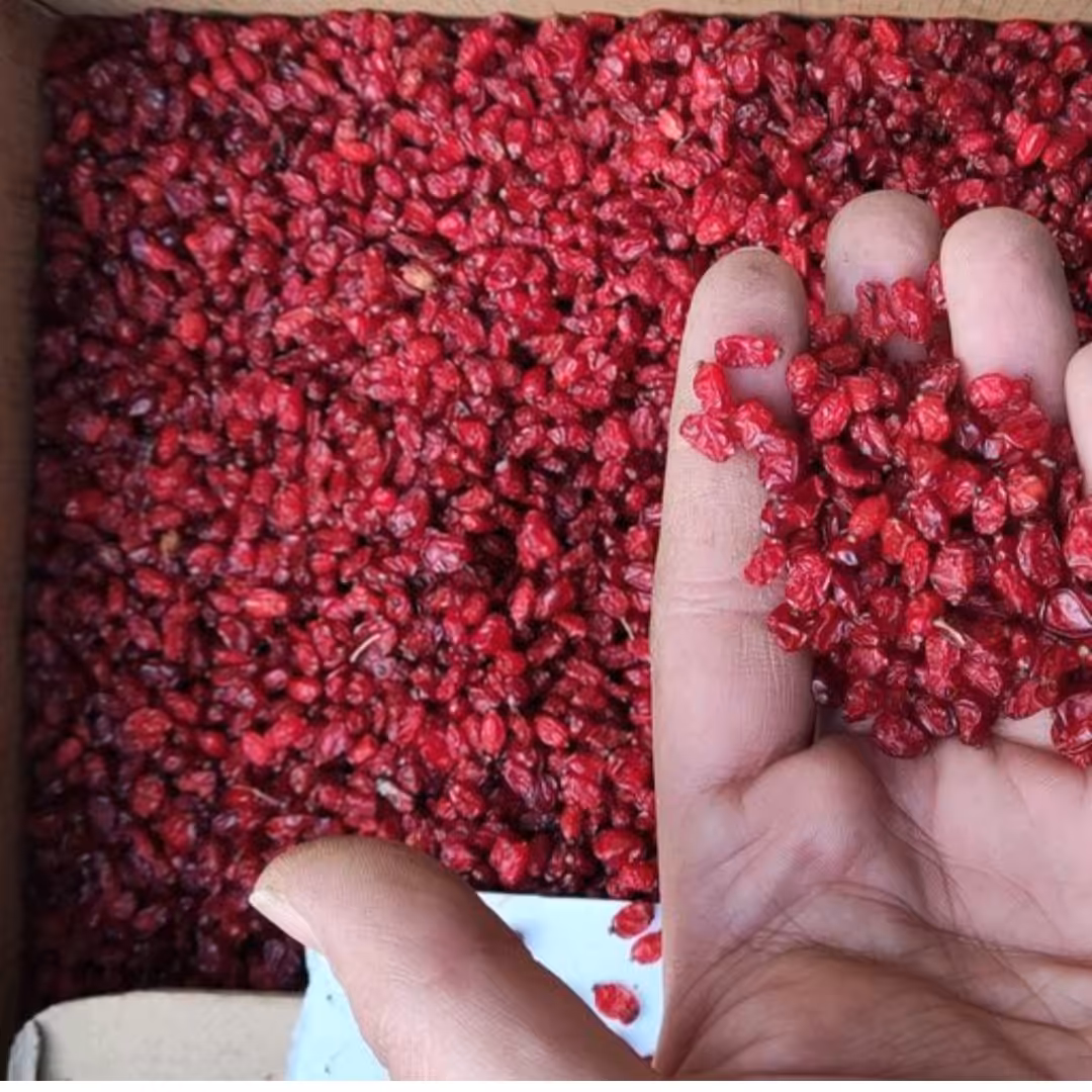 زرشک اناری قرمز  (ده کیلویی)تمیز شده و درجه ی یک  بیرجند 