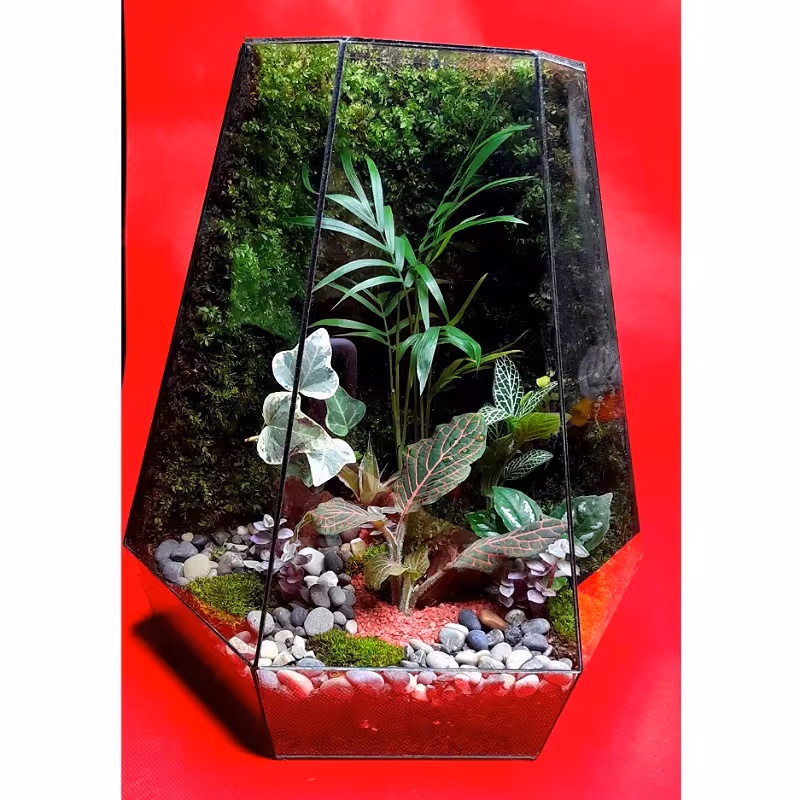 تراریوم موساریوم چندوجهی زیبا