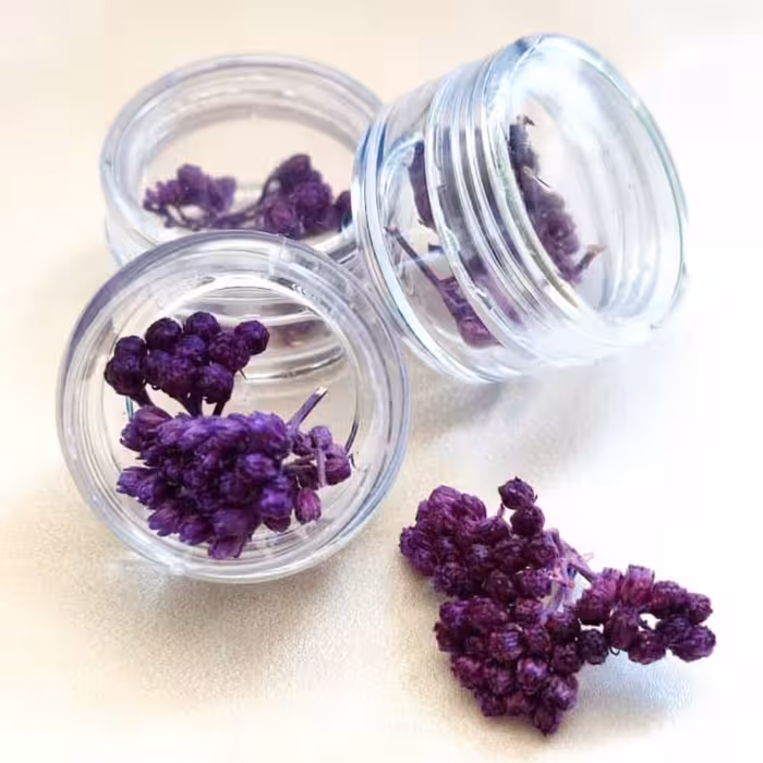 دیزاین گل خشک بنفش