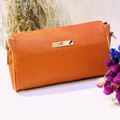 کیف اتوبوسی