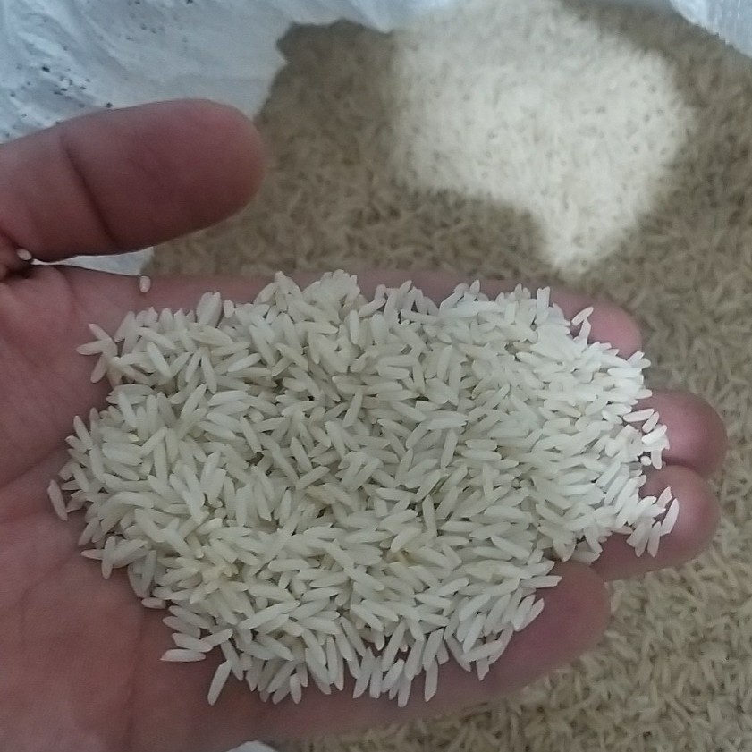 برنج محلی دم سیاه لرستان 25 کیلویی