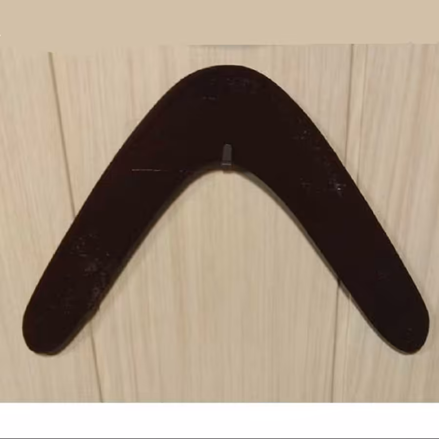 بومرنگ مدل عقرب