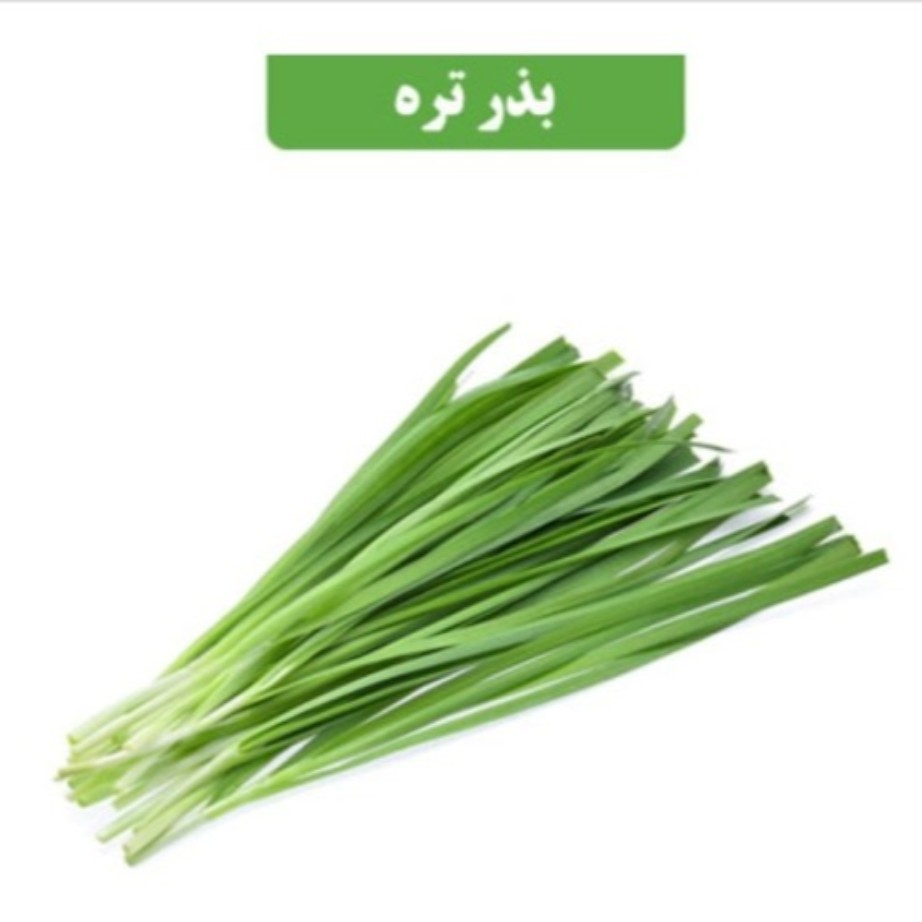بذر تره عطاربانو