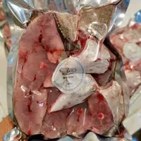 ماهی حمام تازه صید لیان بوشهر