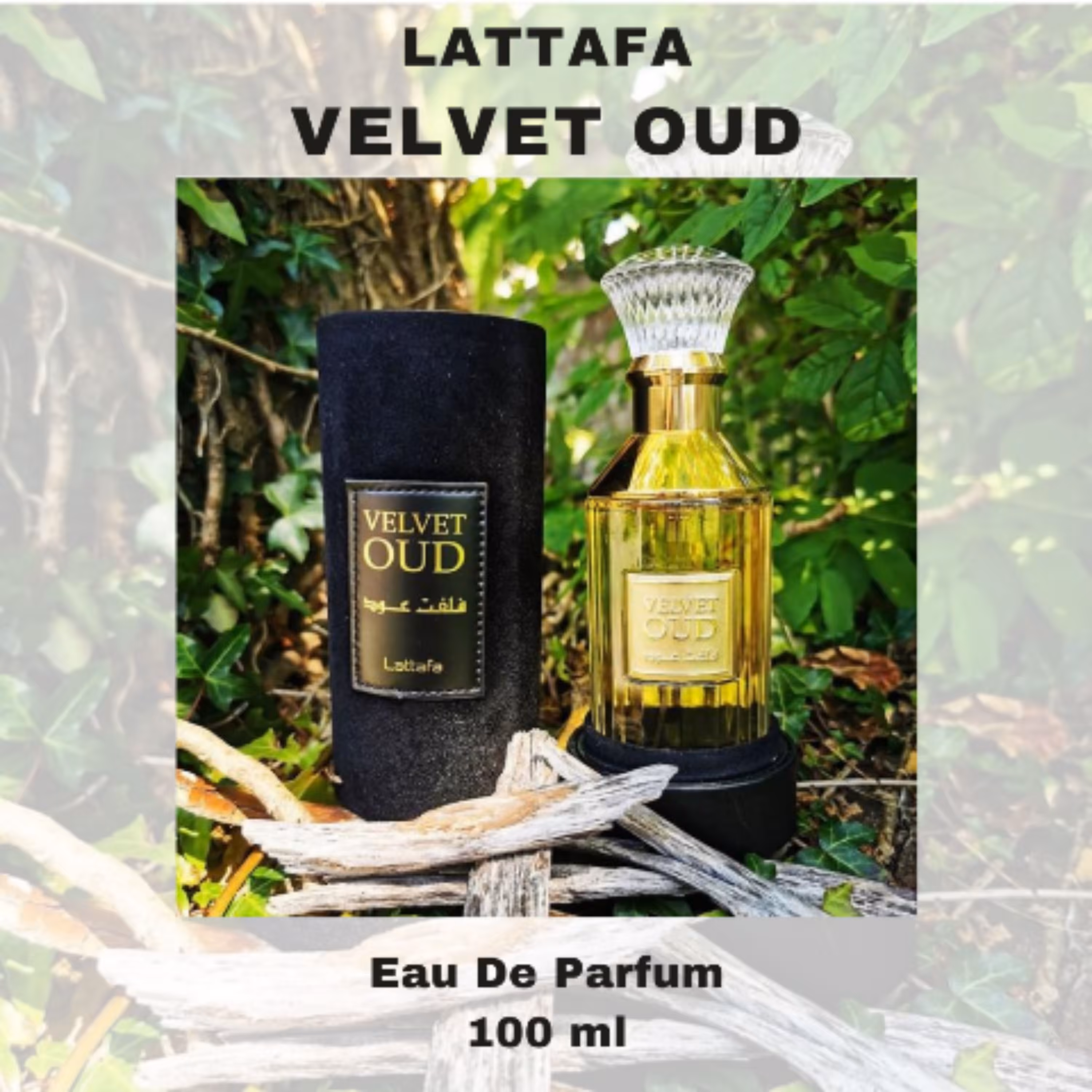 عطر لطافه ولوت عود  Lattafa Velvet Oud