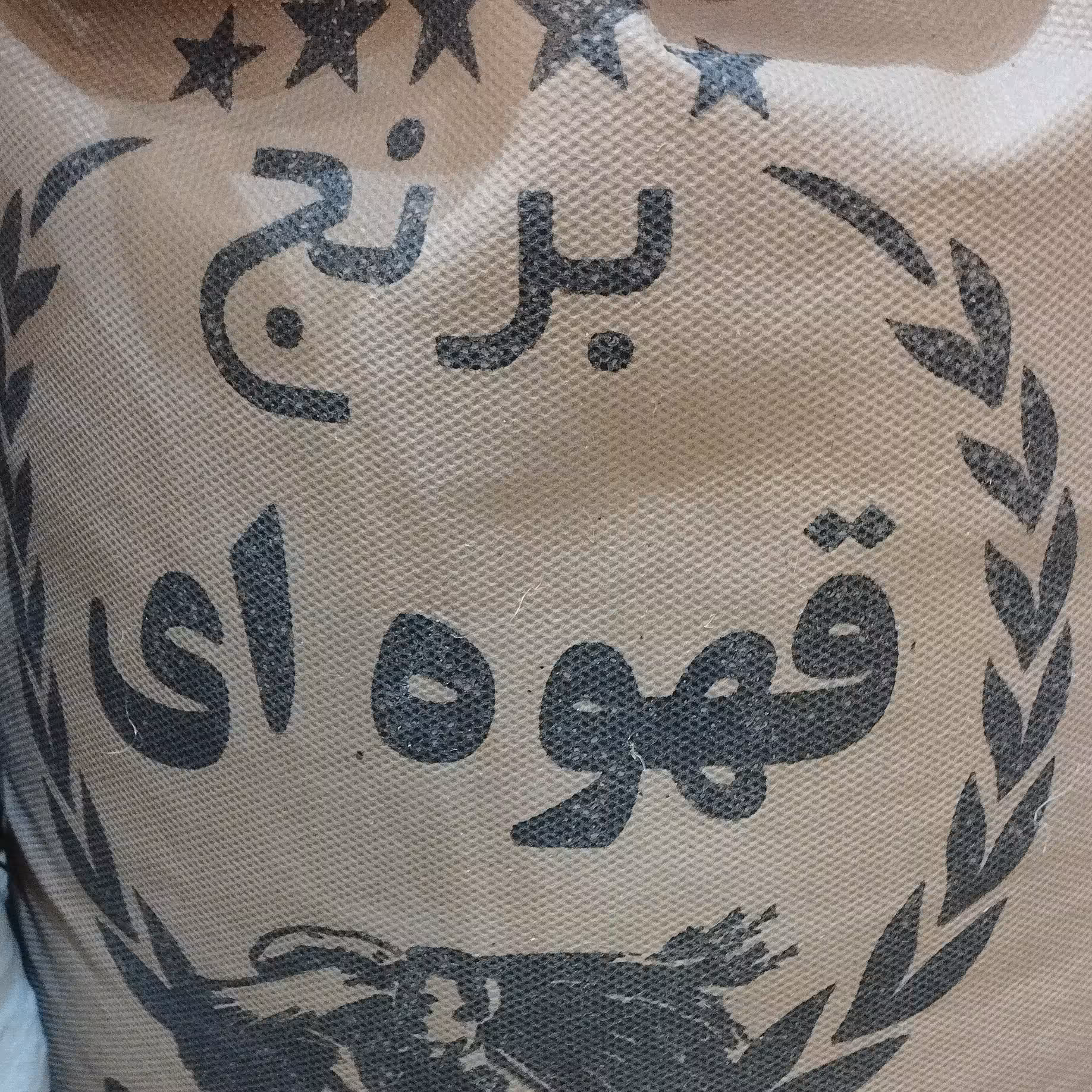 برنج قهوه ای رژیمی سورت شده دربسته بندی ده کیلوگرمی محصول شالیزارهای استان مازندران