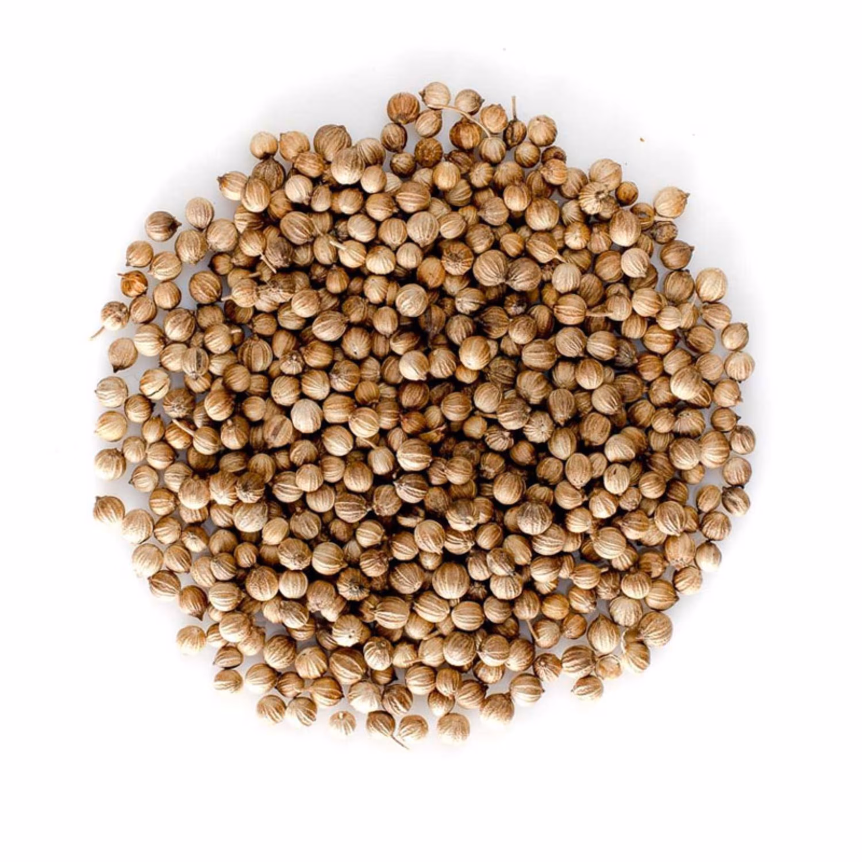 تخم گشنیز اعلا 250 گرمی  غرفه آجیل خشکبار مهران 