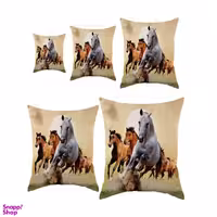 کوسن رنس کد S5-10051 مجموعه 5 عددی کوچک تا بزرگ چند رنگ