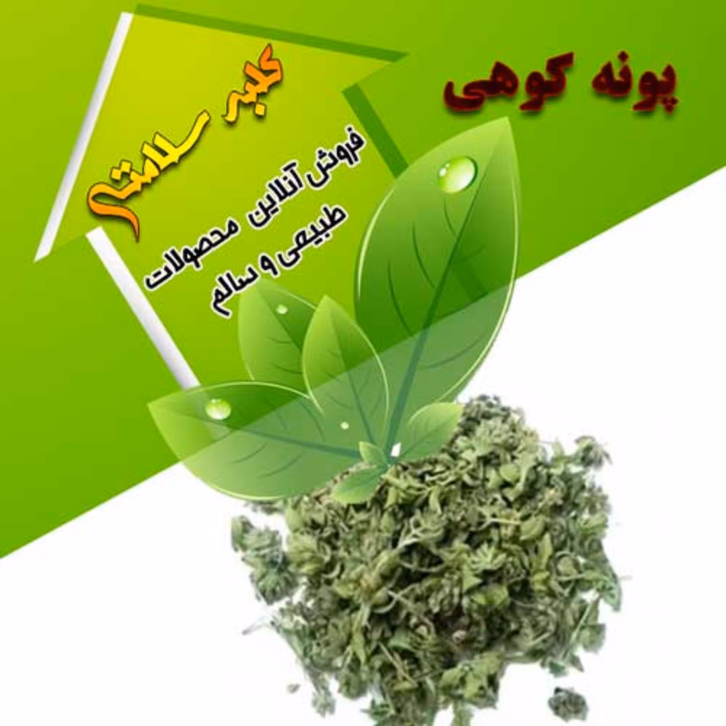 پونه کوهی خشک درجه یک و معطر (100گرمی)