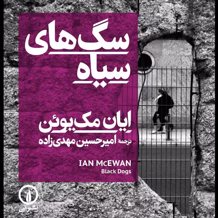 سگهای سیاه ایان مک یوئن نشر نی 