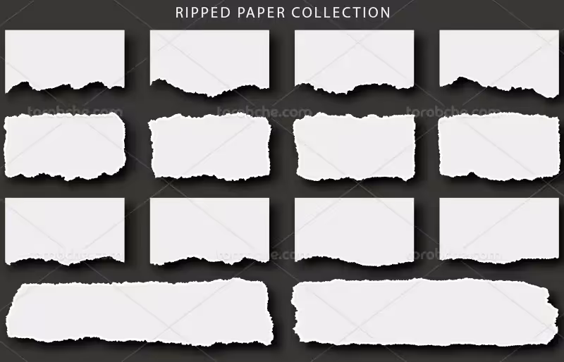 وکتور کاغذ پاره | گرافیک با طعم تربچه