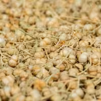 اسپند و زاج بسته  200 گرمی 