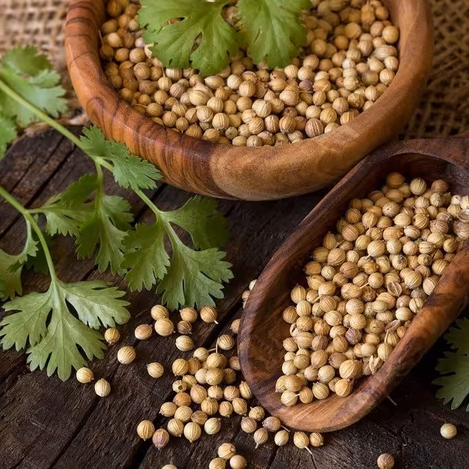 تخم گشنیز 75 گرمی