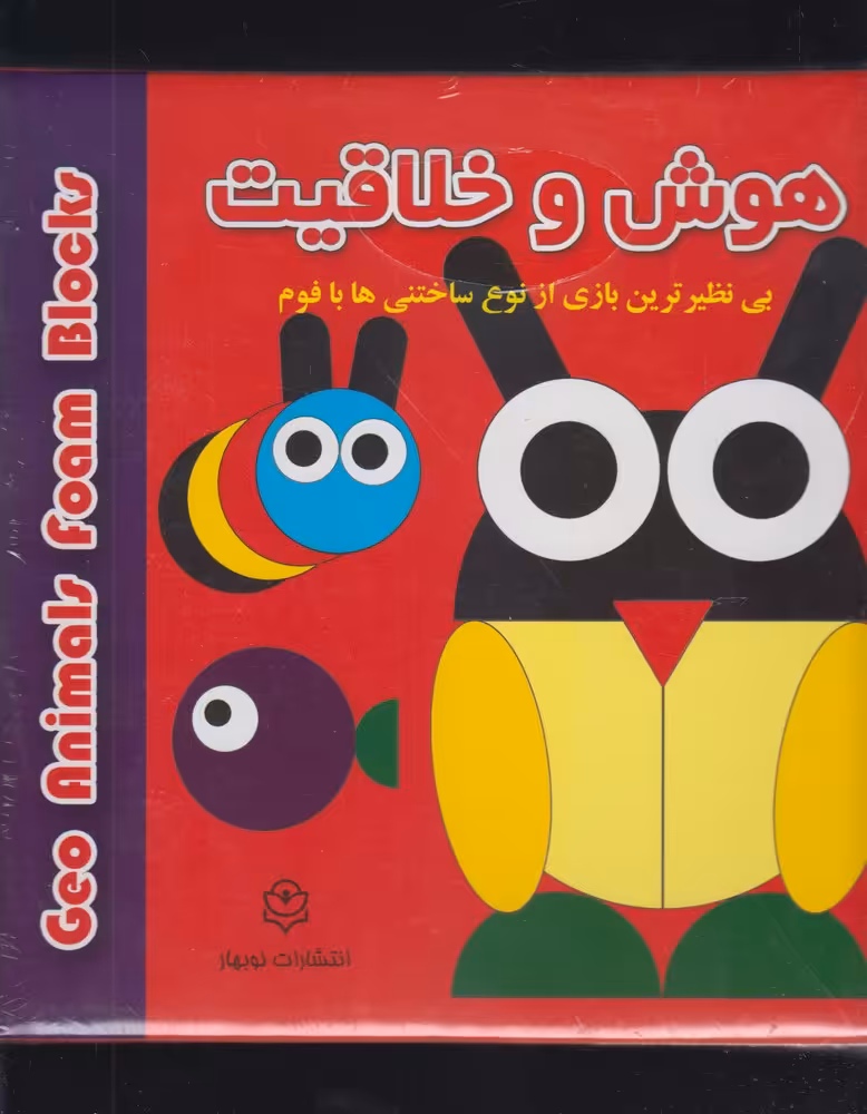 کتاب هوش و خلاقیت ساختنی با فوم