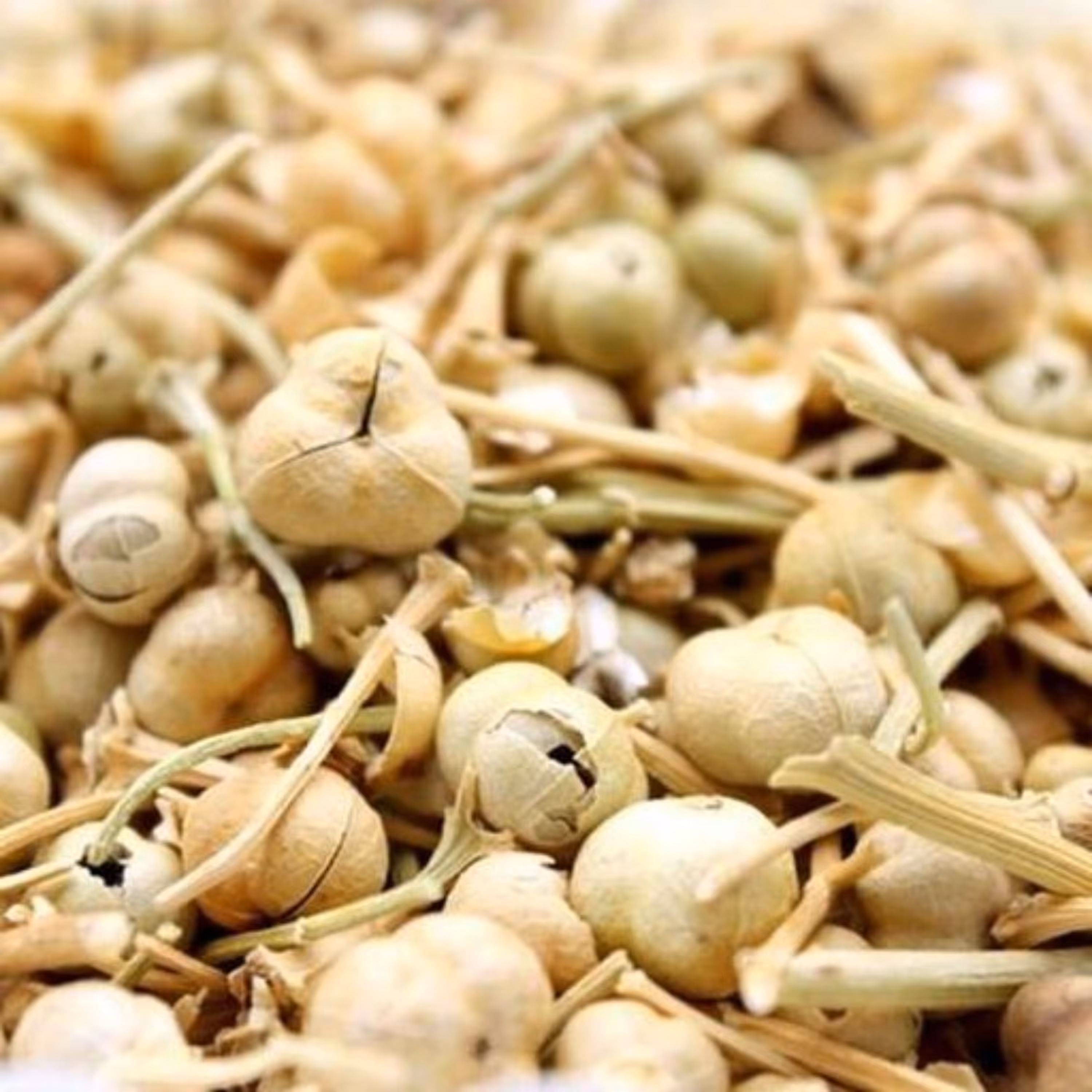 اسپند نخودی (150 گرم) 