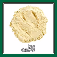 پودر سیر ایرانی اعلا سبزین (500 گرمی)