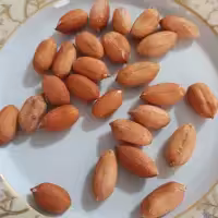 بادام زمینی آستانه اشرفیه خام  محصول 1403 درجه یک (5000 گرم )