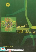 قیمت و خرید کتاب آشنایی با تناظر گالوا | ایده بوک