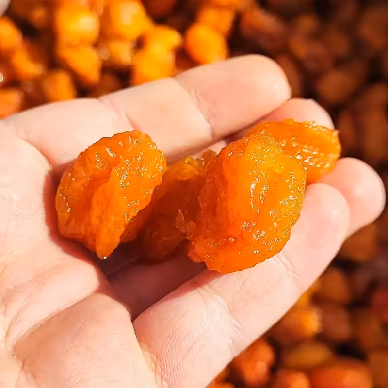 آلو بخارا خوشمزه گوشتی درجه یک