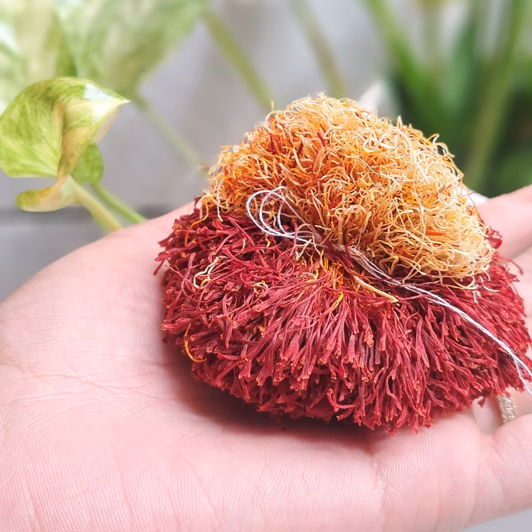 زعفران دختر پیج ممتاز قاینات 