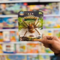 اسباب بازی رتیل کوچک راهرو