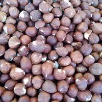 مغز فندق خام 500 گرمی