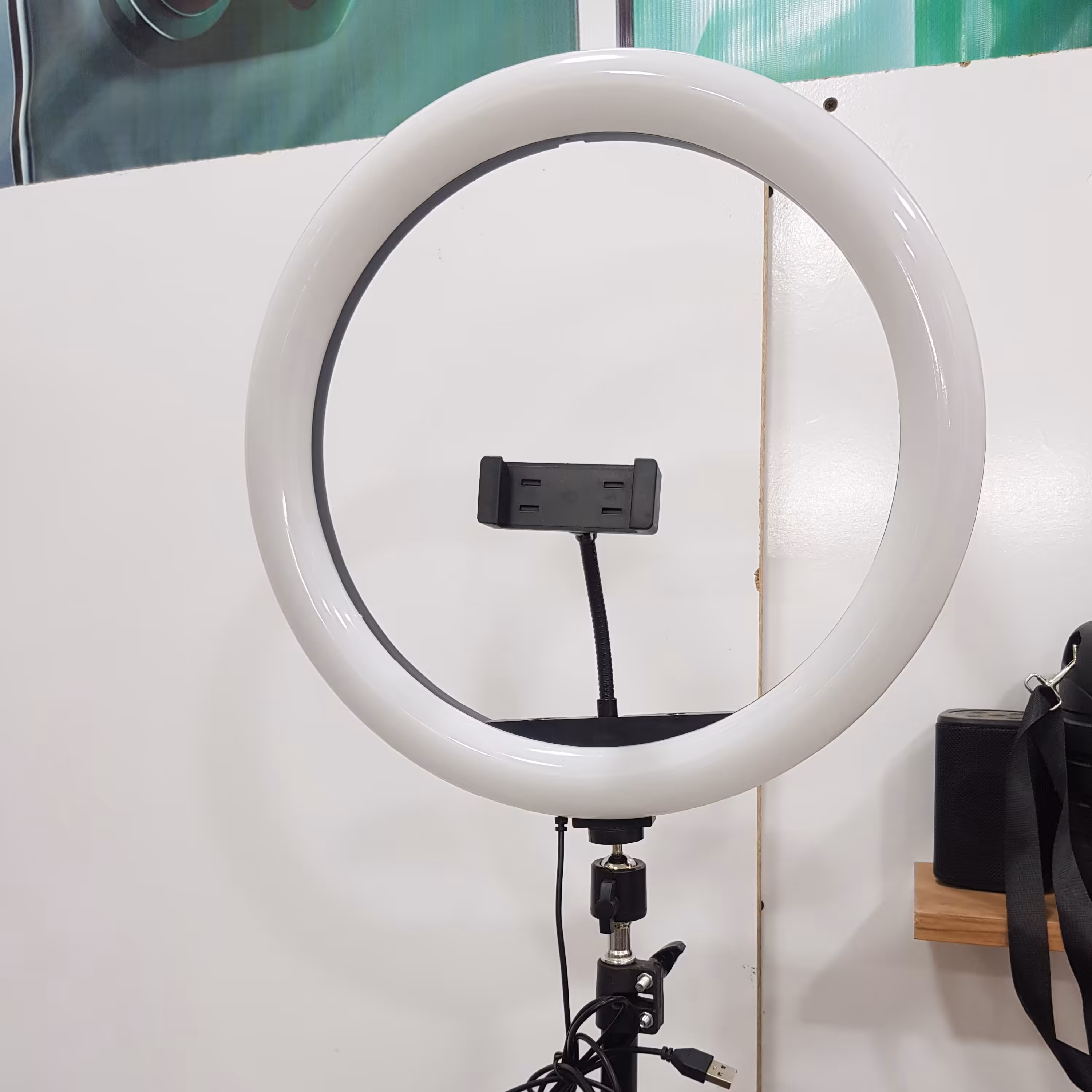 رینگ لایت 14 اینچ با ارسال رایگان