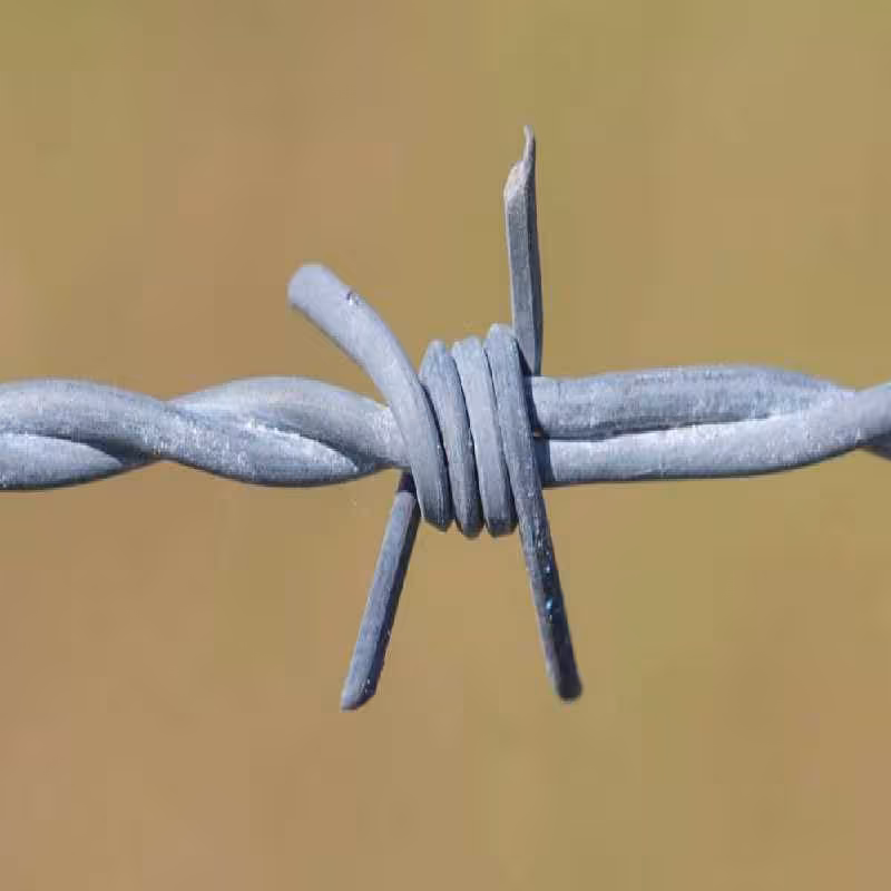 سیم خاردار خطی سوزنی هر یک کیلوگرم 9 متر