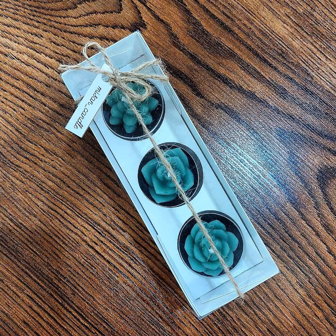 شمع وارمر کاکتوس سه تایی