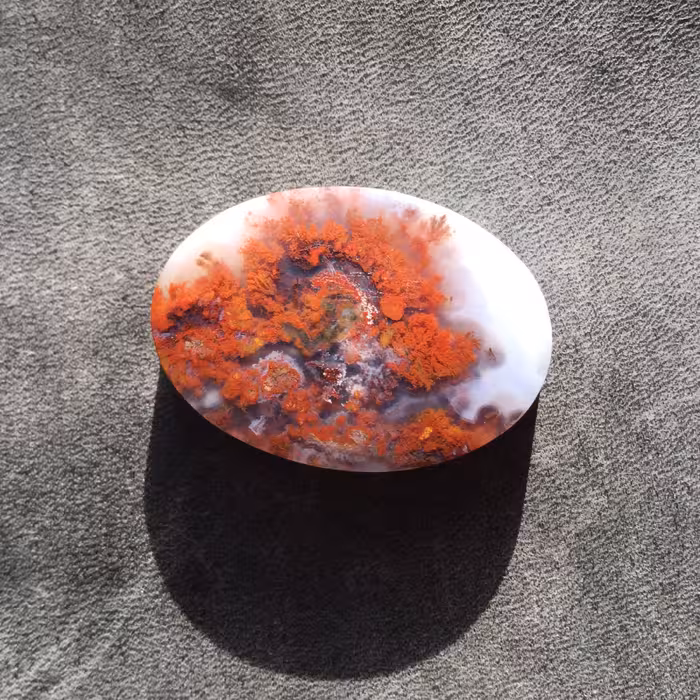 شجر سرخ خوش نقش با زمینه سفید 