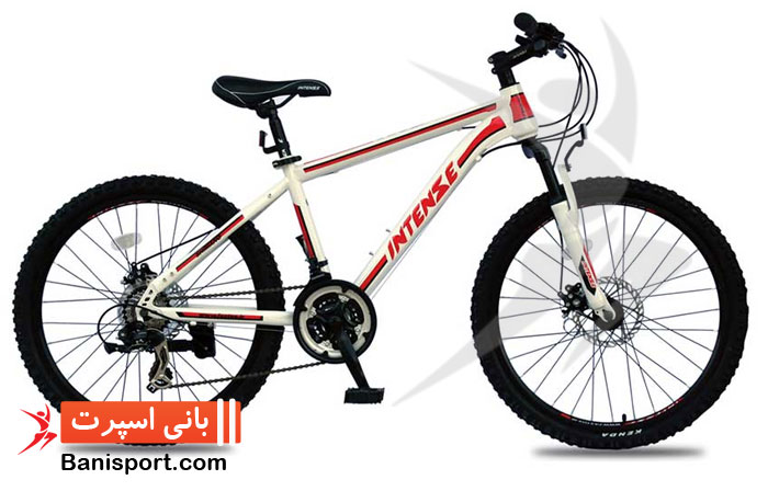دوچرخه اینتنس I50D سایز 24