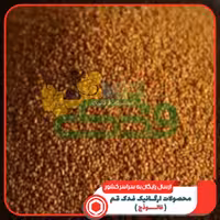 خاکشی (خاکشیر) 5ستاره فدک (100گرم)