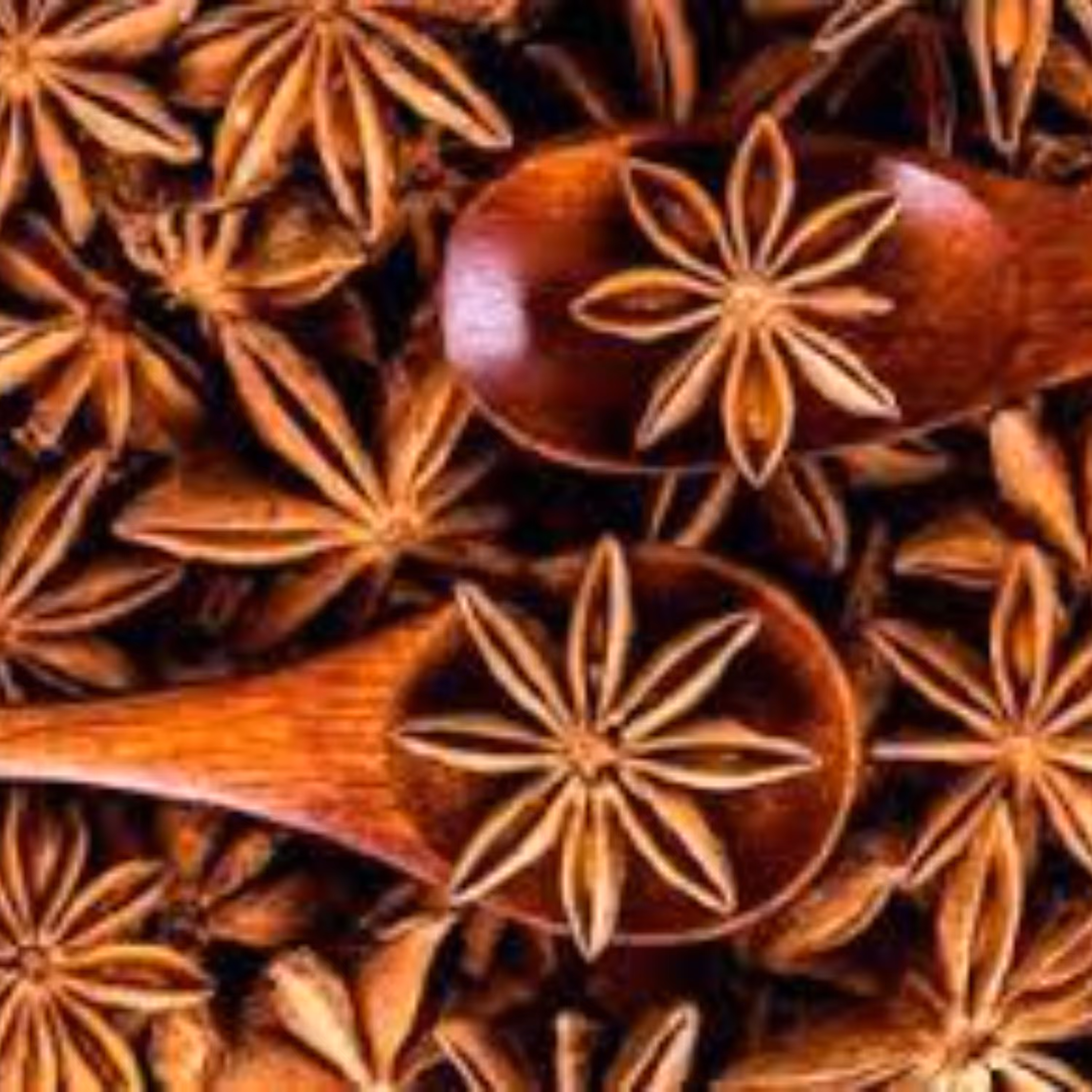 بذر بادیان ستاره ای  5 عددی