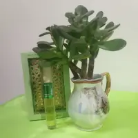 عطر طبیعی بهارنارنج برکات(4گرمی)
