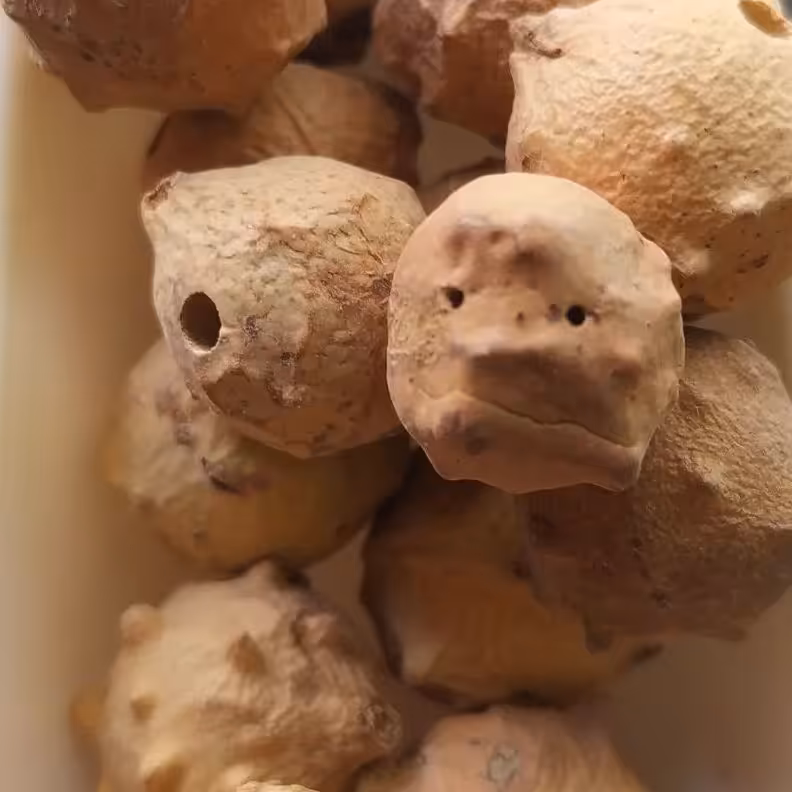 مازو اصل  200 گرمی