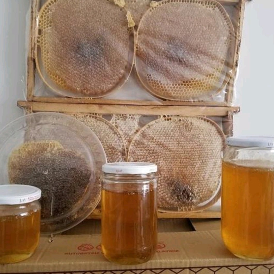 عسل زول دیابتی شهد 1کیلویی ساکارز 1 (عسل فروشی خزر)