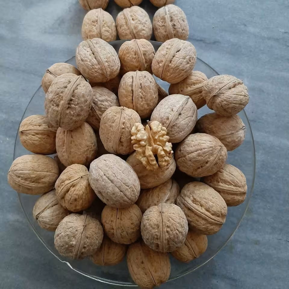 خشکبارنازگل 
گردوی ممتازوعالی تویسرکان (1000)گرمی