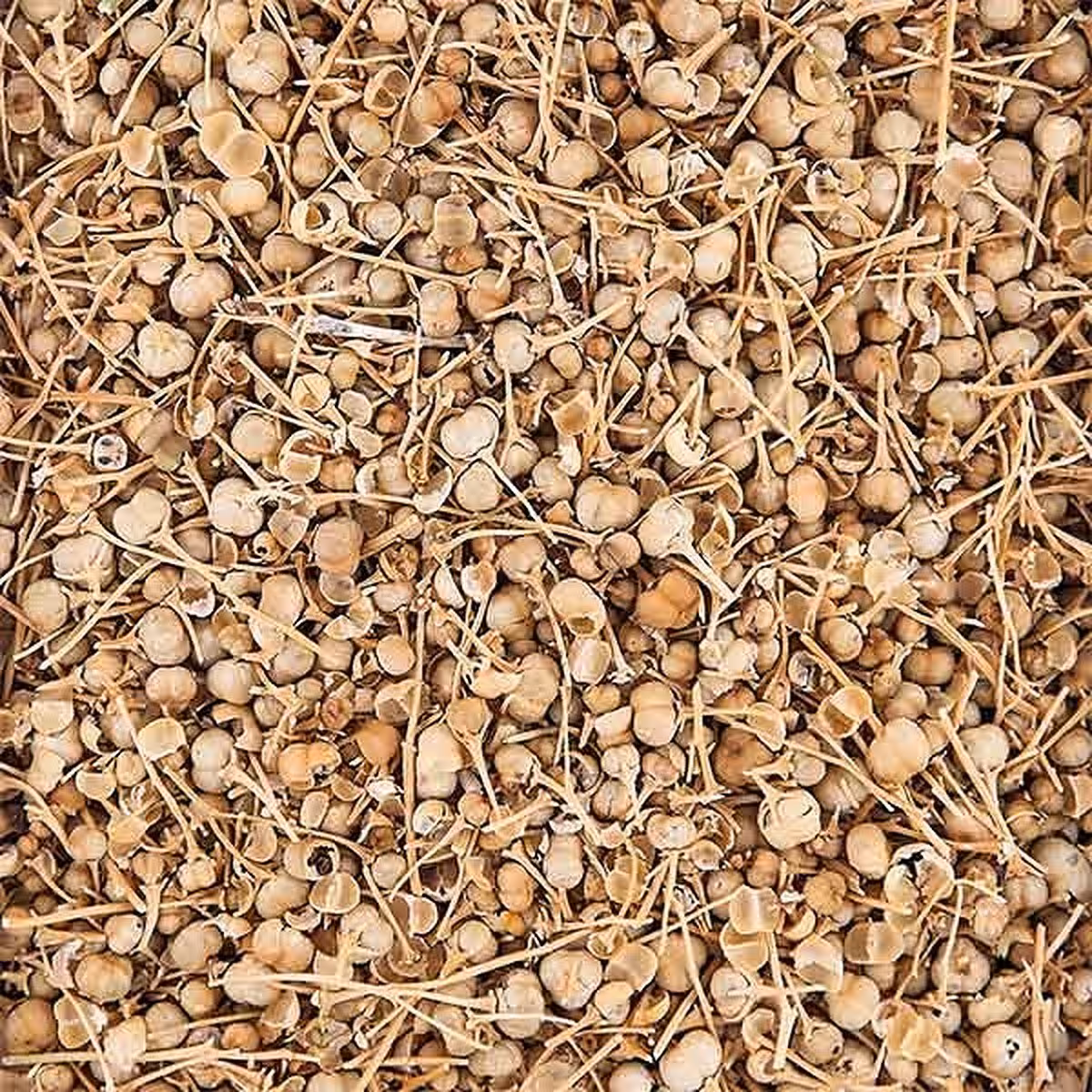 اسفند نخودی درجه 1 همراه با غلاف اسفند200 گرمی