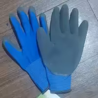 دستکش باغبانی پارکساید(رنگ ابی)