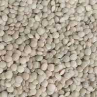 عدس ریز اردبیل 900 گرم 