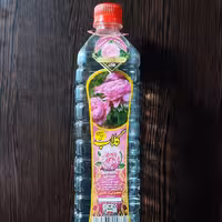 گلاب ممتاز یک لیتری محصولی از گل و گلاب گلستانه کاشان 